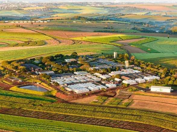 Embrapa e Governo do Paraná assinam carta de intenções para inovar cadeia produtiva da soja 