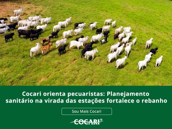 cocari 09 03 2026