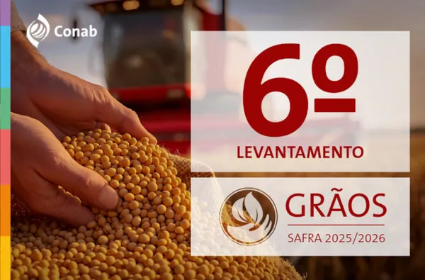 Safra de grãos está estimada em 353,4 milhões de toneladas no ciclo 2025/26