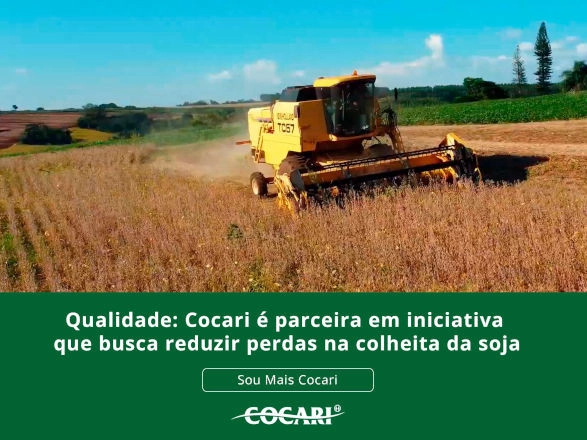 cocari II 16 03 2026