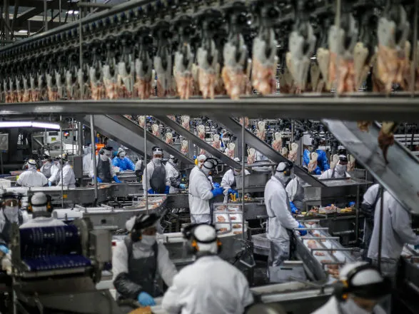 Paraná exportou frango para 150 mercados internacionais em 2025, maior patamar do País