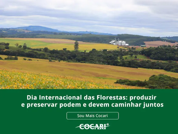 Dia Internacional das Florestas: produzir e preservar podem e devem caminhar juntos