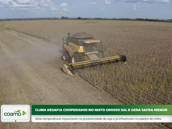 Coamo TV: Reportagem apresenta os desafios e resultados da safra de verão no MS