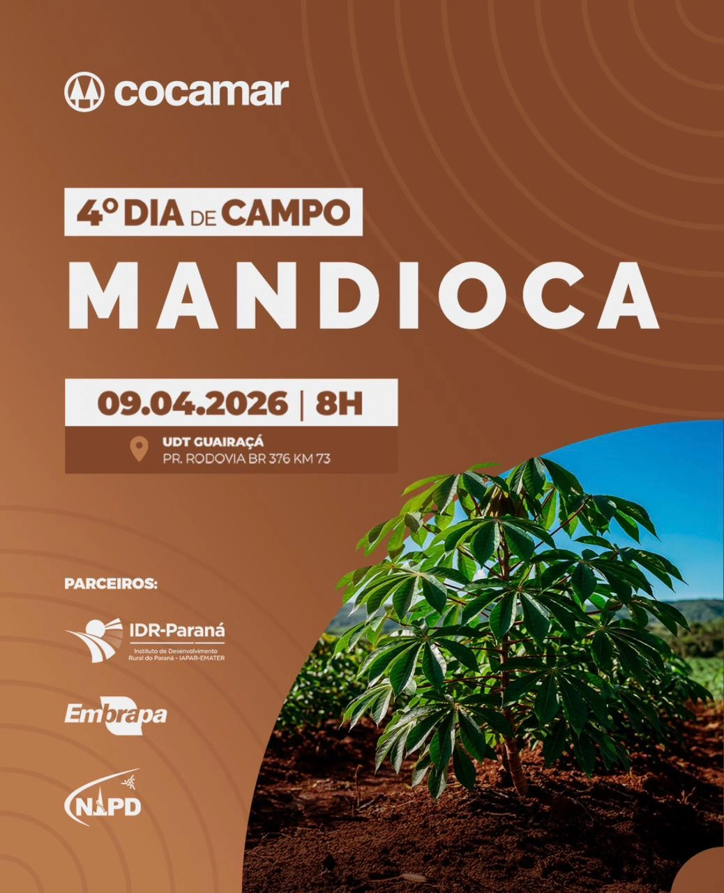 cocamar II 23 03 2026