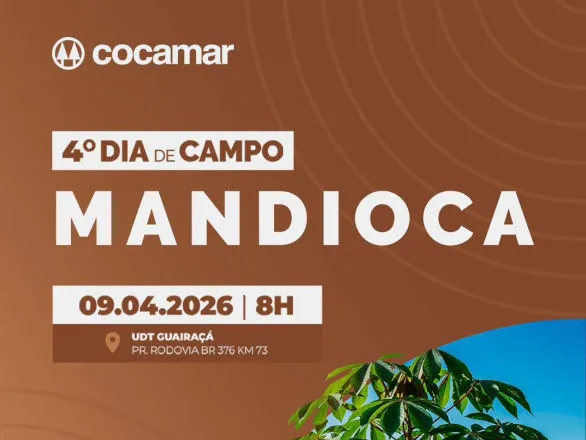 Cocamar promove o 4º Dia de Campo Mandioca no dia 9 de abril