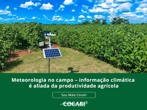 Meteorologia no campo – informação climática é aliada da produtividade agrícola