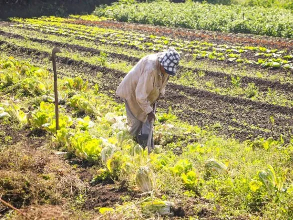 Entra em vigor lei que amplia garantias para financiamentos do Pronaf