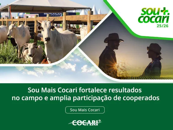 Sou Mais Cocari fortalece resultados no campo e amplia participação de cooperados
