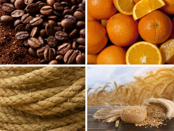 Mapa publica preços mínimos para café, laranja, sisal, trigo em grãos e semente de trigo da safra 2026/2027