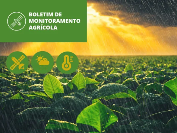 Monitoramento aponta bom desenvolvimento das lavouras com contrastes climáticos no país