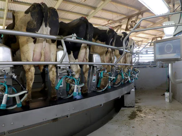 Cenário atual projeta aumento na remuneração do leite no Paraná, aponta Deral