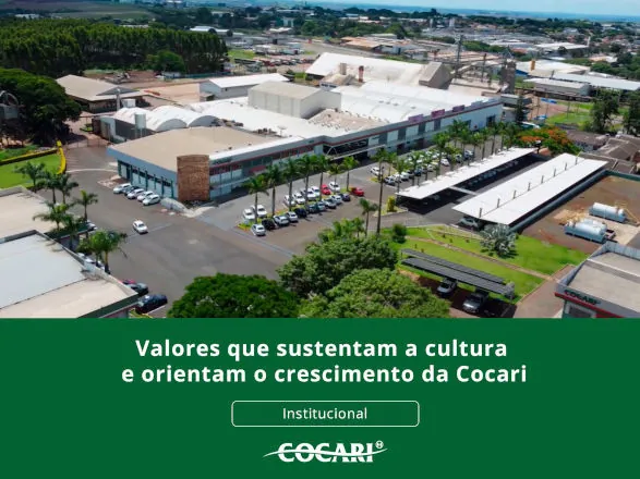 Valores que sustentam a cultura e orientam o crescimento da Cocari
