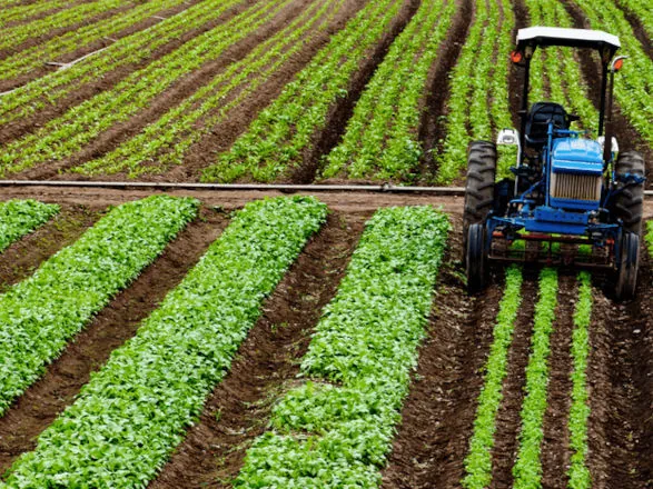 Crédito rural empresarial atinge R$ 404 bilhões no Plano Safra 2025/2026