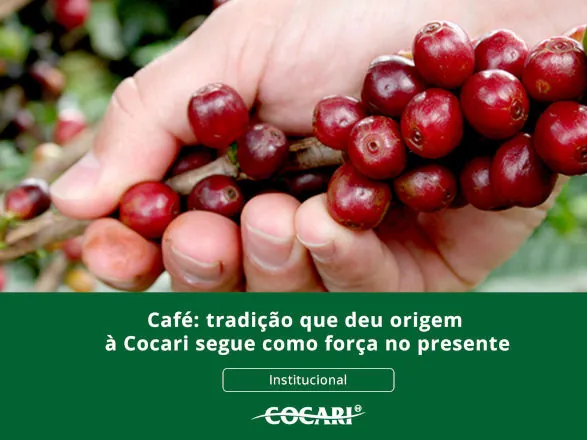  Café: tradição que deu origem à Cocari segue como força no presente