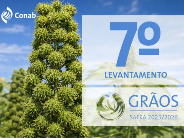 Safra de grãos pode chegar a 356,3 milhões de toneladas em 2025/26 influenciada por boas produtividades