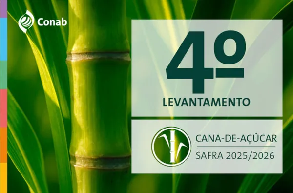 Produção de cana-de-açúcar chega a 673,2 milhões de toneladas na safra 2025/26