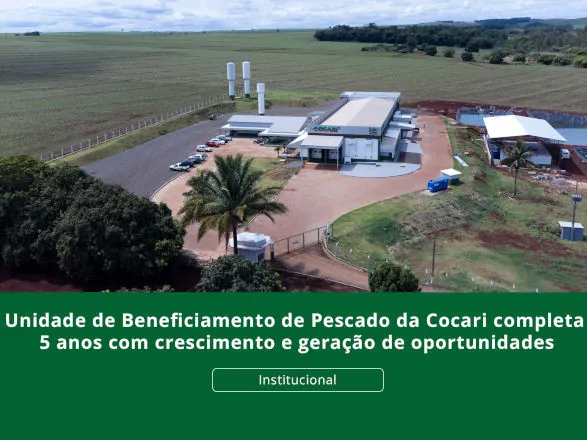 Unidade de Beneficiamento de Pescado da Cocari completa cinco anos com crescimento e geração de oportunidades