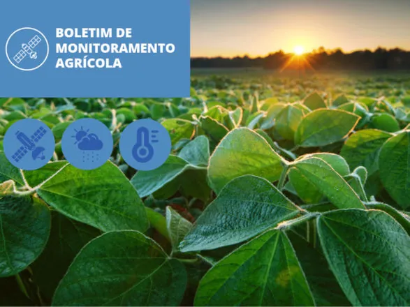 Condições climáticas favorecem desenvolvimento da soja na maior parte do país