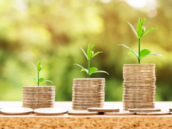 Sistema OCB seleciona projetos de crédito de carbono de cooperativas 