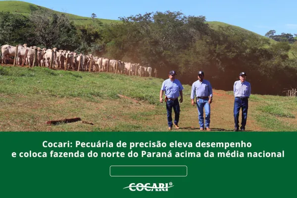 Cocari: Pecuária de precisão eleva desempenho e coloca fazenda do norte do Paraná acima da média nacional
