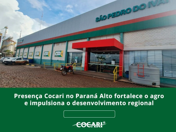 cocari II 06 05 2026