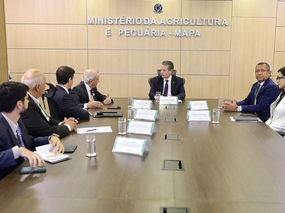 ilpf 07 05 2026