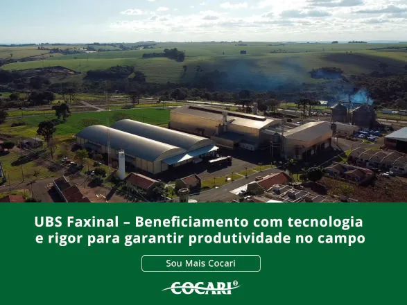 Sementes Cocari – Beneficiamento com tecnologia e rigor para garantir produtividade no campo