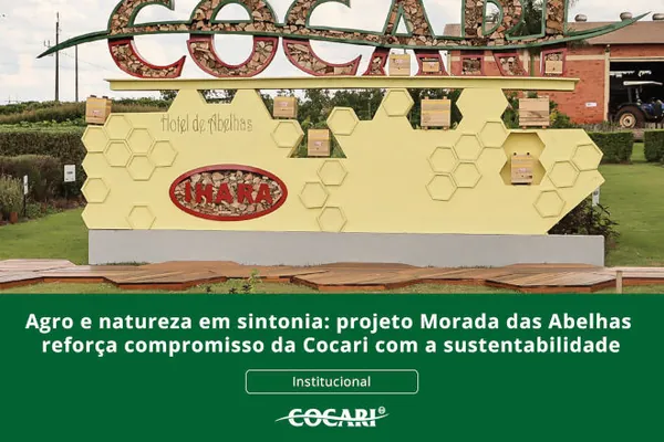 Projeto Morada das Abelhas reforça compromisso da Cocari com a sustentabilidade