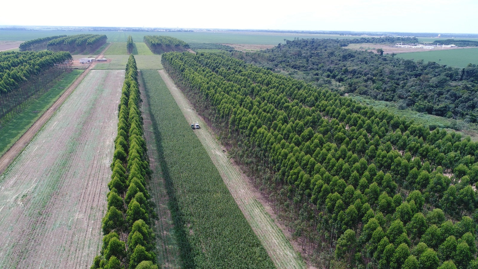 credito Gabriel Faria Cocamar