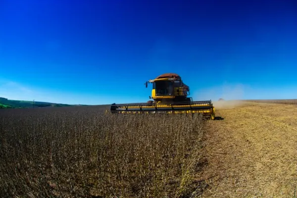 Embrapa promove Curso de Produção de Soja