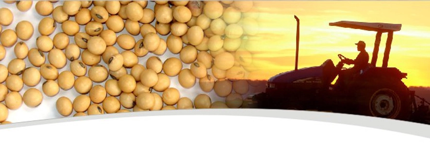 agrosafra 10 12 2012