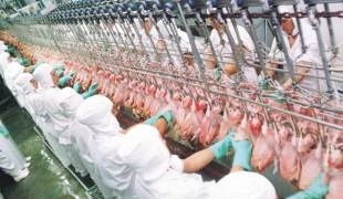 comercio internacional 26 12 2012