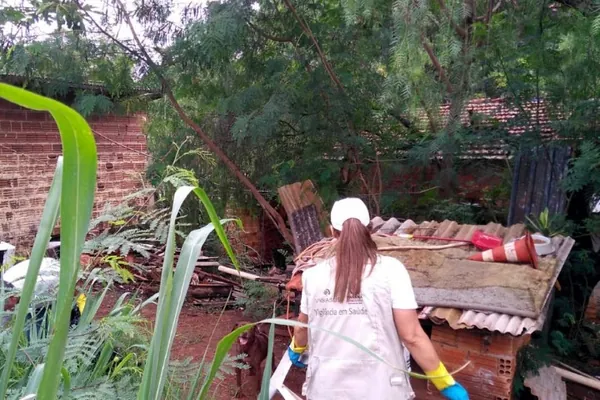 DENGUE: Paraná registra 57 óbitos e mais de 76 mil casos da doença