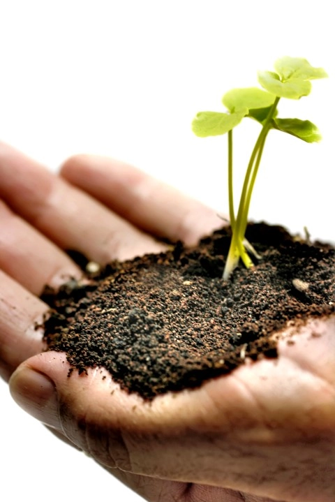 agricultura 07 01 2020