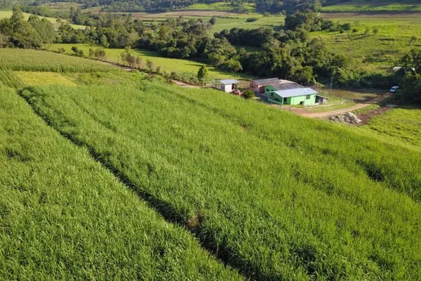 SEAB: Agricultura inicia novos projetos voltados a pequenos produtores
