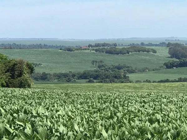 COCAMAR: Cooperativa começa a receber a maior safra de soja de sua história