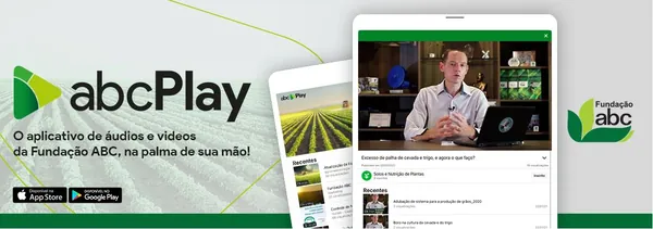 FUNDAÇÃO ABC: Chegou o abcPlay