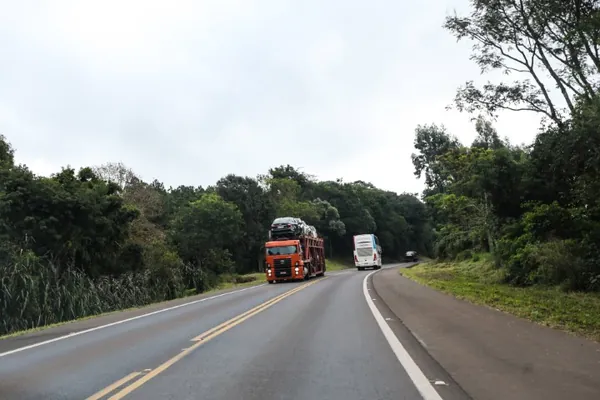 TRÂNSITO: Detran alerta sobre mudança no prazo para exame toxicológico periódico
