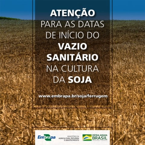 sanidade vegetal 10 06 2021