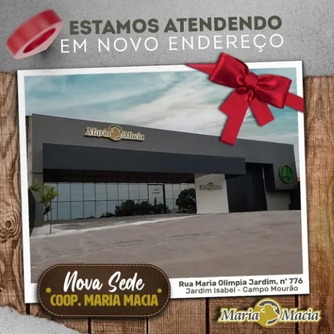 MARIA MACIA: Cooperativa está atendendo em nova sede