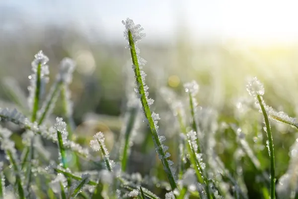 PREVISÃO DO TEMPO: Frio será intenso nesta semana na maior parte do Brasil