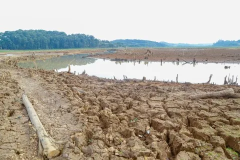 ESTIAGEM: Agosto tem chuvas abaixo da média em várias regiões do Paraná