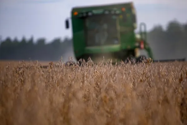 CONAB: Produção de grãos pode chegar a 291,1 milhões de toneladas na safra 2021/22