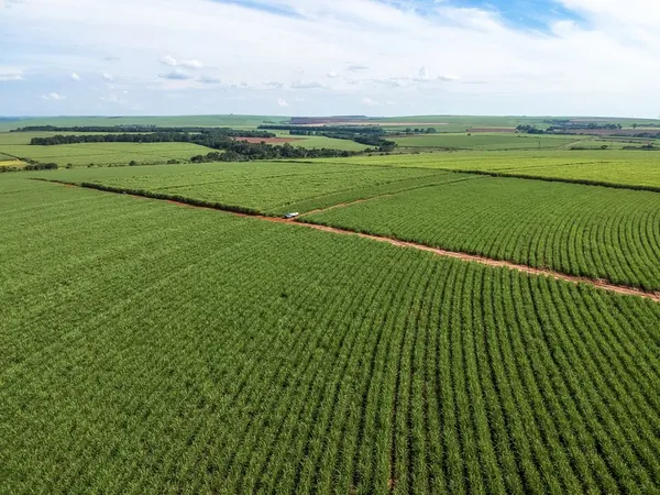 REGULARIZAÇÃO AMBIENTAL: Serviço florestal e estados avançam na análise de dados dos cadastros rurais do país