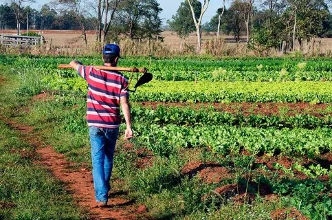 LEGISLATIVO: Congresso derruba vetos a socorro para agricultores familiares e a reajuste de agentes de saúde