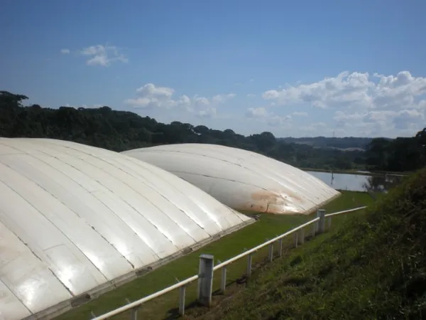 BIOGÁS: Pesquisadores debatem inovações no setor no Sul do Brasil