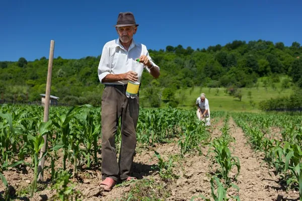 LEGISLATIVO II: Projeto isenta trabalhador rural de multa para aderir ao Regime Geral de Previdência Social