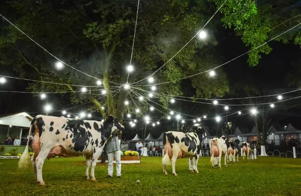 CAPAL: Confirmada a realização da 48ª Expoleite, de 13 a 16 de julho 