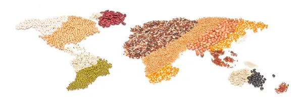 EXPORTAÇÕES: Produtos da agropecuária brasileira chegam a mais de 200 novos mercados mundiais nos últimos três anos