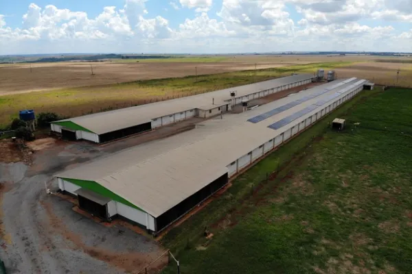 PR COMPETITIVO: Estado libera R$ 250 milhões em créditos de ICMS para expansão de energias renováveis para cooperativas do PR